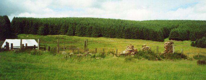 Wholehope 1999