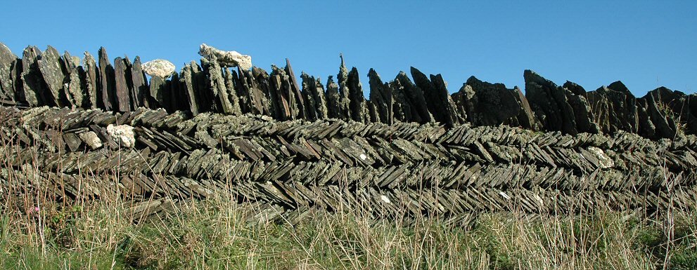 A typical field wall in Cornwall.